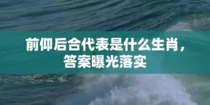 前仰后合代表是什么生肖，答案曝光落实