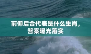 前仰后合代表是什么生肖，答案曝光落实