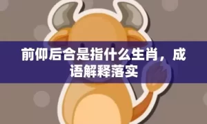 前仰后合是指什么生肖，成语解释落实