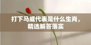 打下马威代表是什么生肖，精选解答落实