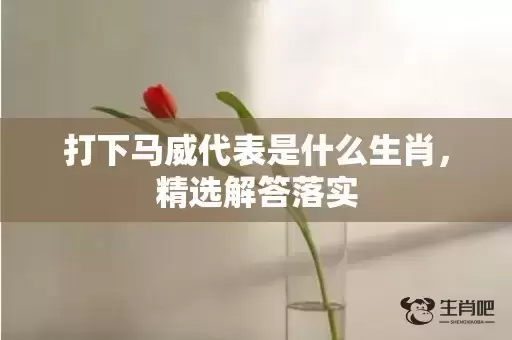 打下马威代表是什么生肖，精选解答落实