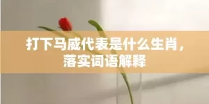 打下马威代表是什么生肖，落实词语解释