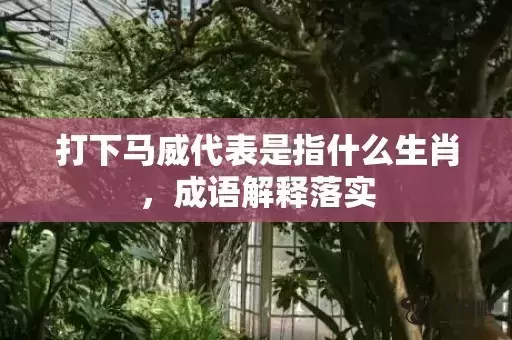打下马威代表是指什么生肖,成语解释落实 打下马威代表是指什么生肖,成语解释落实