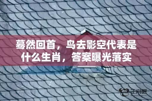 蓦然回首，鸟去影空代表是什么生肖，答案曝光落实