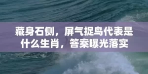 藏身石侧，屏气捉鸟代表是什么生肖，答案曝光落实