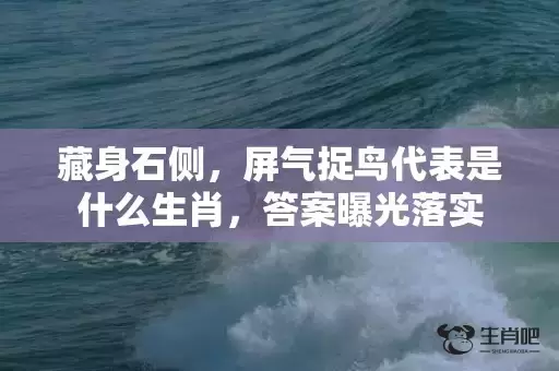 藏身石侧,屏气捉鸟代表是什么生肖,答案曝光落实 藏身石侧,屏气捉鸟代表是什么生肖,答案曝光落实
