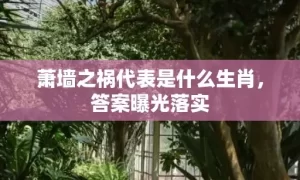 萧墙之祸代表是什么生肖，答案曝光落实