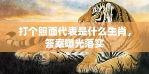 打个照面代表是什么生肖，答案曝光落实