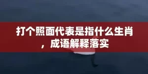 打个照面代表是指什么生肖，成语解释落实