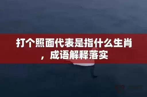 打个照面代表是指什么生肖,成语解释落实 打个照面代表是指什么生肖,成语解释落实