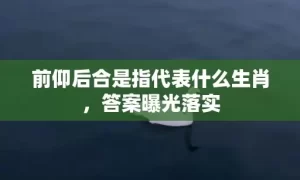 前仰后合是指代表什么生肖，答案曝光落实