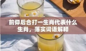 前仰后合打一生肖代表什么生肖，落实词语解释