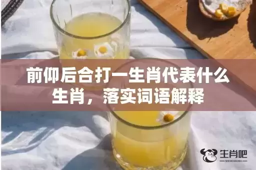 前仰后合打一生肖代表什么生肖,落实词语解释 前仰后合打一生肖代表什么生肖,落实词语解释