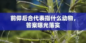 前仰后合代表指什么动物，答案曝光落实