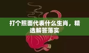 打个照面代表什么生肖，精选解答落实