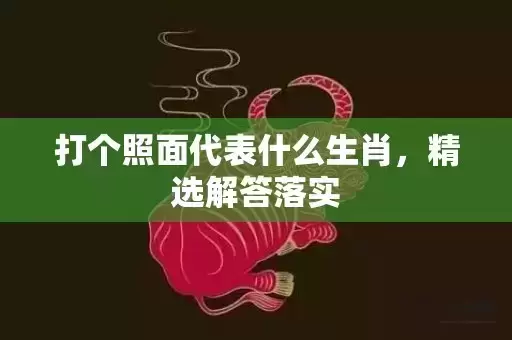 打个照面代表什么生肖,精选解答落实 打个照面代表什么生肖,精选解答落实