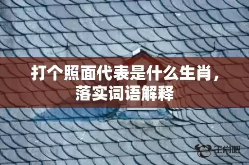 打个照面代表是什么生肖，落实词语解释