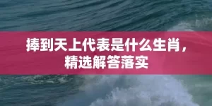 捧到天上代表是什么生肖，精选解答落实