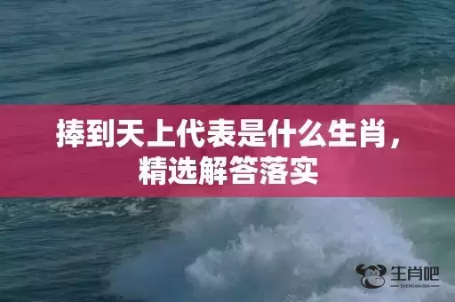 捧到天上代表是什么生肖,精选解答落实 捧到天上代表是什么生肖,精选解答落实