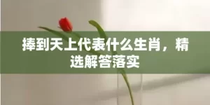 捧到天上代表什么生肖，精选解答落实