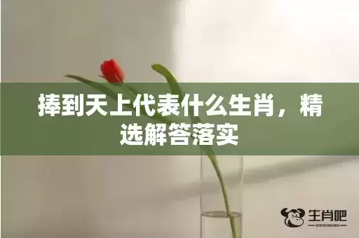 捧到天上代表什么生肖，精选解答落实