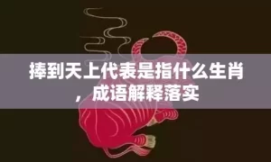 捧到天上代表是指什么生肖，成语解释落实