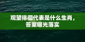 观望徘徊代表是什么生肖，答案曝光落实