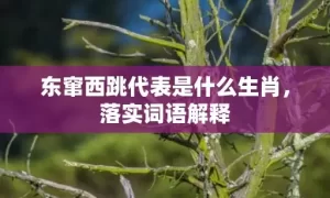 东窜西跳代表是什么生肖，落实词语解释