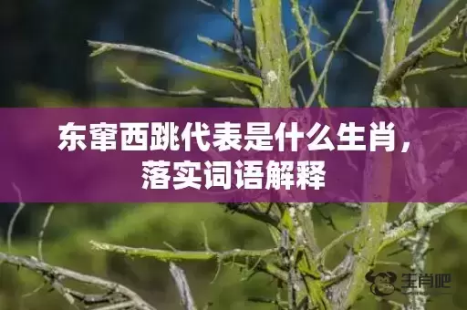 东窜西跳代表是什么生肖,落实词语解释 东窜西跳代表是什么生肖,落实词语解释