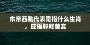 东窜西跳代表是指什么生肖，成语解释落实