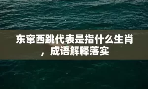 东窜西跳代表是指什么生肖，成语解释落实