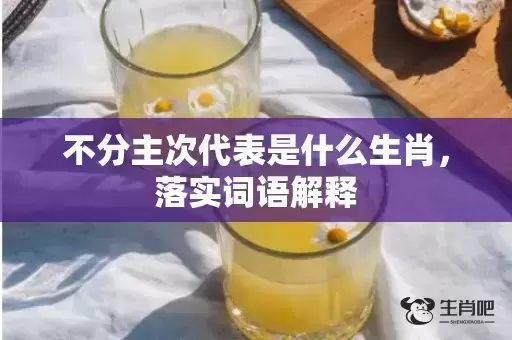 不分主次代表是什么生肖,落实词语解释 不分主次代表是什么生肖,落实词语解释