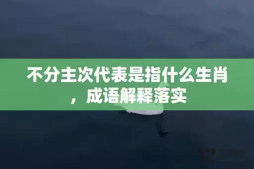 不分主次代表是指什么生肖，成语解释落实
