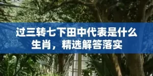 过三转七下田中代表是什么生肖，精选解答落实