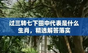 过三转七下田中代表是什么生肖，精选解答落实