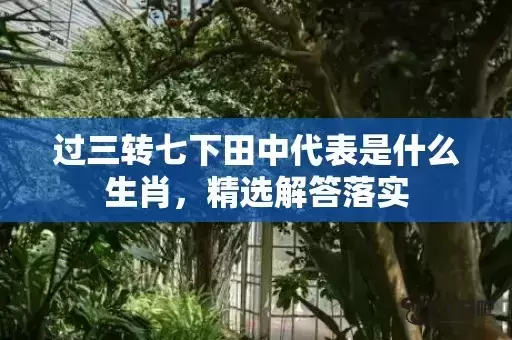 过三转七下田中代表是什么生肖,精选解答落实 过三转七下田中代表是什么生肖,精选解答落实