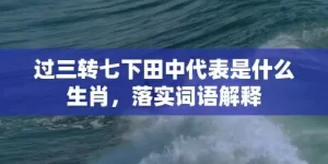 过三转七下田中代表是什么生肖，落实词语解释