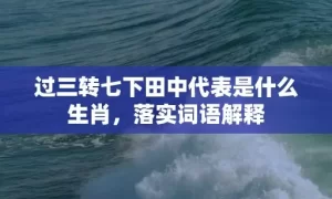 过三转七下田中代表是什么生肖，落实词语解释