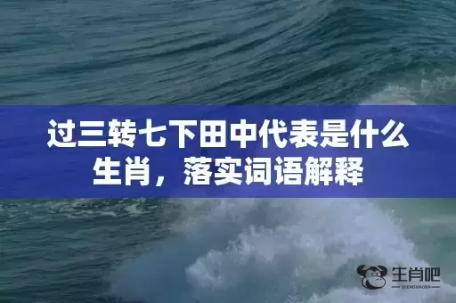 过三转七下田中代表是什么生肖,落实词语解释 过三转七下田中代表是什么生肖,落实词语解释