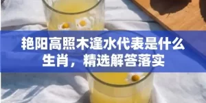 艳阳高照木逢水代表是什么生肖，精选解答落实