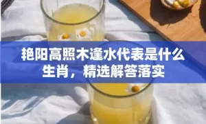 艳阳高照木逢水代表是什么生肖，精选解答落实