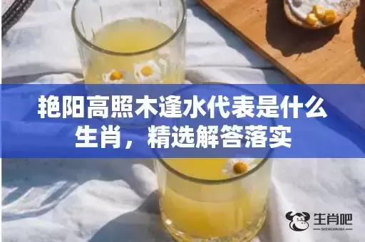 艳阳高照木逢水代表是什么生肖，精选解答落实