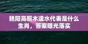 艳阳高照木逢水代表是什么生肖，答案曝光落实