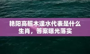 艳阳高照木逢水代表是什么生肖，答案曝光落实