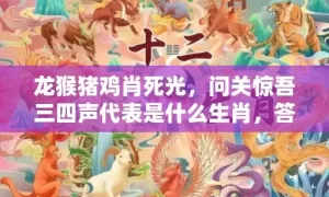 龙猴猪鸡肖死光，问关惊吾三四声代表是什么生肖，答案曝光落实