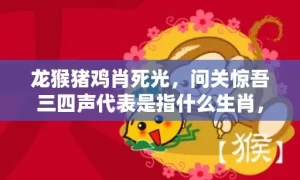 龙猴猪鸡肖死光，问关惊吾三四声代表是指什么生肖，成语解释落实