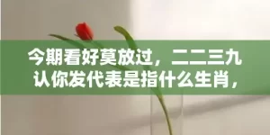 今期看好莫放过，二二三九认你发代表是指什么生肖，成语解释落实