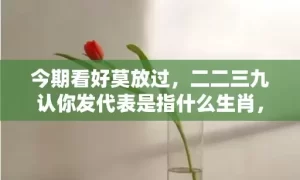 今期看好莫放过，二二三九认你发代表是指什么生肖，成语解释落实