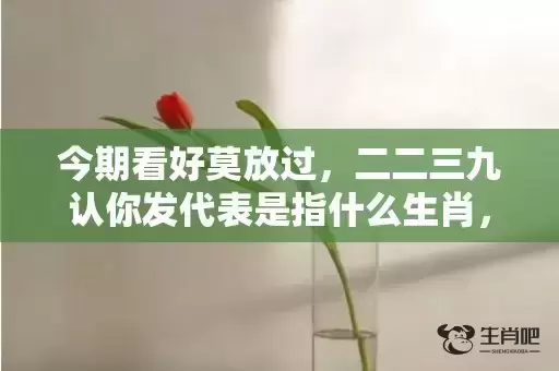 今期看好莫放过,二二三九认你发代表是指什么生肖,成语解释落实 今期看好莫放过,二二三九认你发代表是指什么生肖,成语解释落实