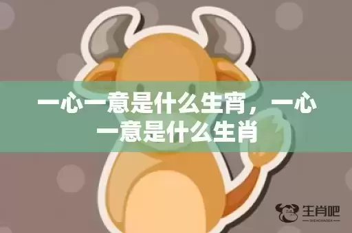 一心一意是什么生宵，一心一意是什么生肖